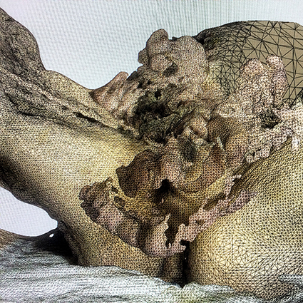 Interrupted 3D scan by artist Paul Coombs